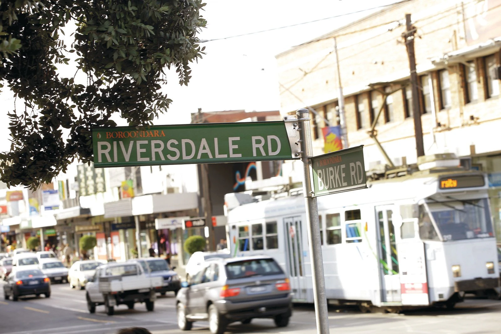 146 Highfield Road, Camberwell, VIC