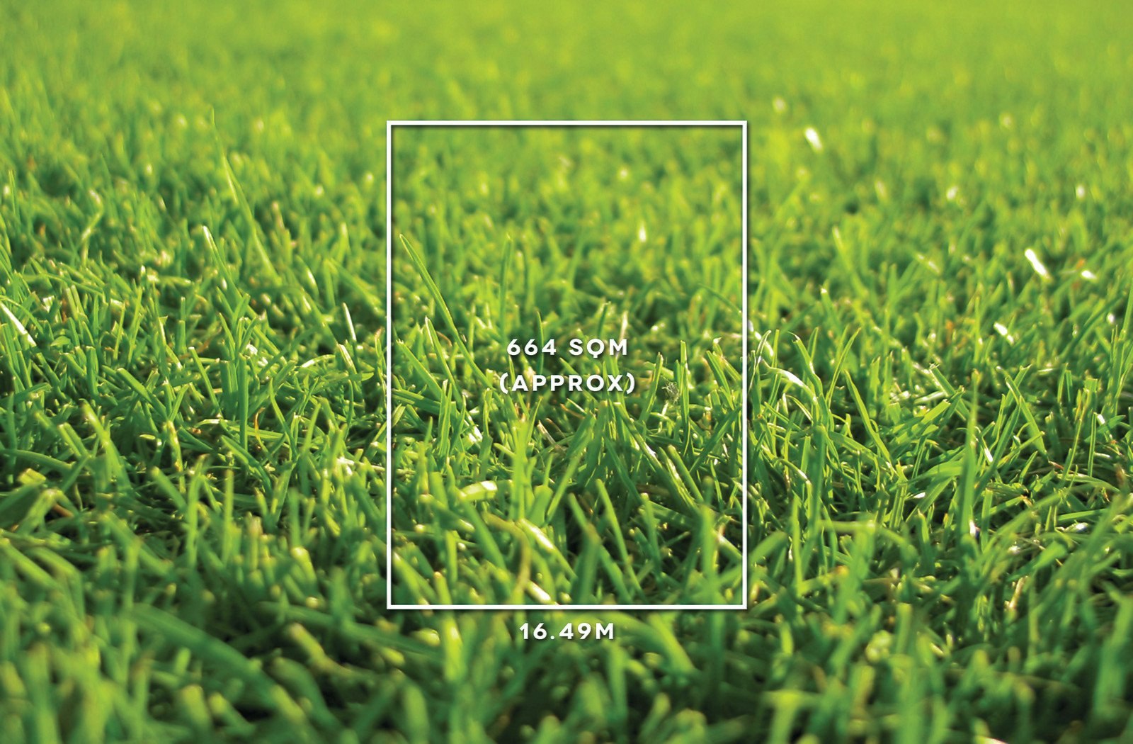 70 Peter Street, Box Hill North, VIC