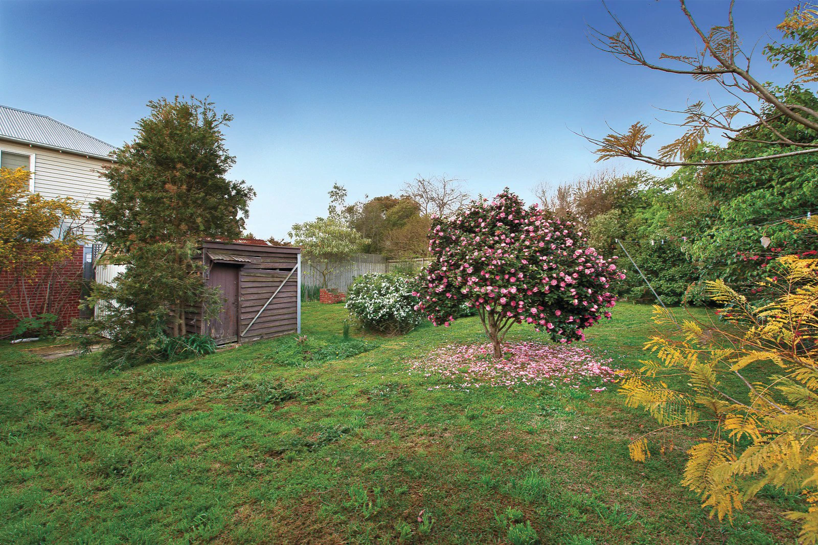 239 Union Road, Surrey Hills, VIC