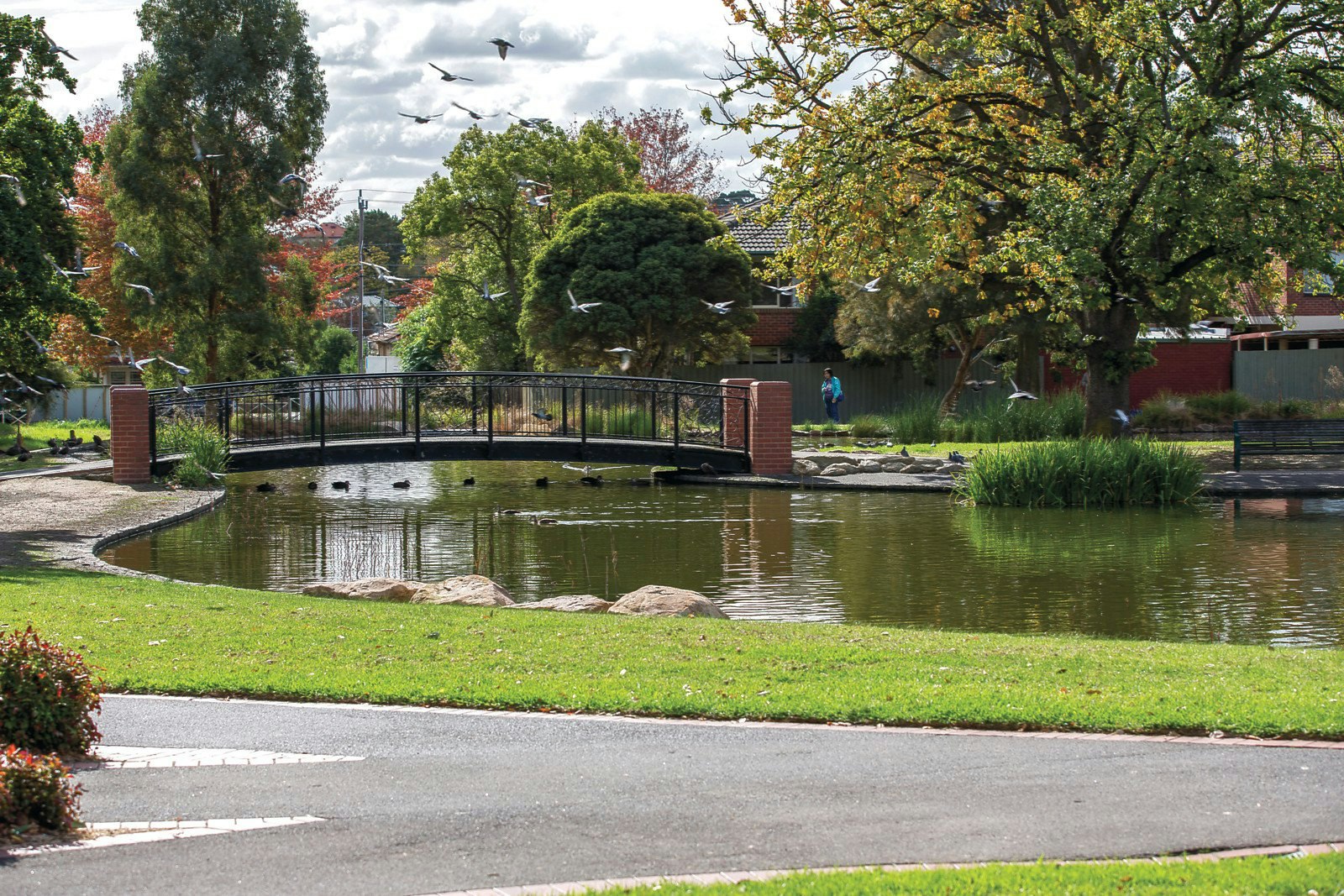 70 Peter Street, Box Hill North, VIC