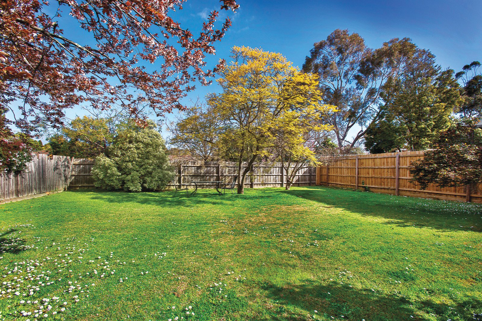 14 Wiseman Street, Hawthorn East - Thumbnail 6