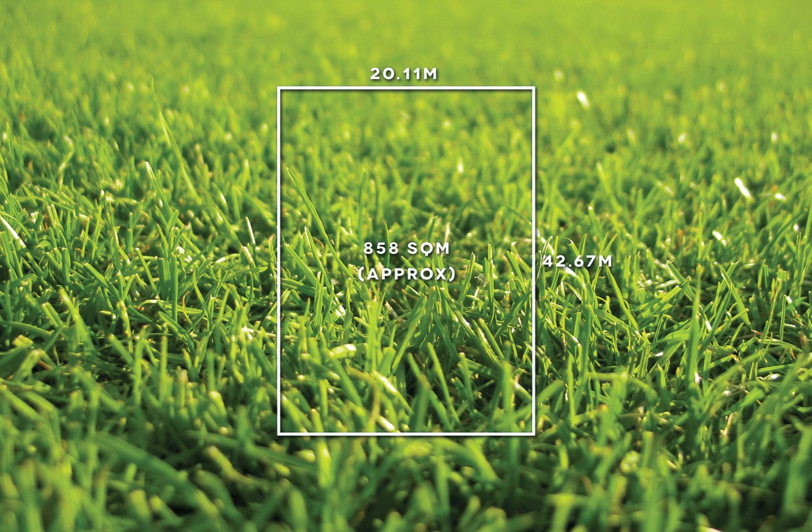 61 Wandsworth Road, Surrey Hills, VIC