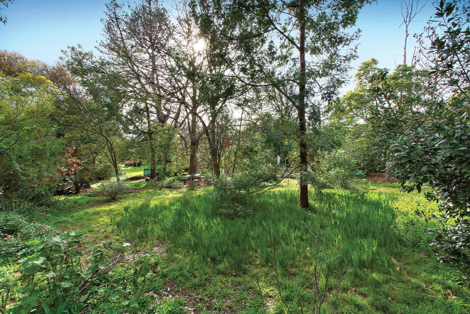 22-24 Raynes Street, Balwyn, VIC