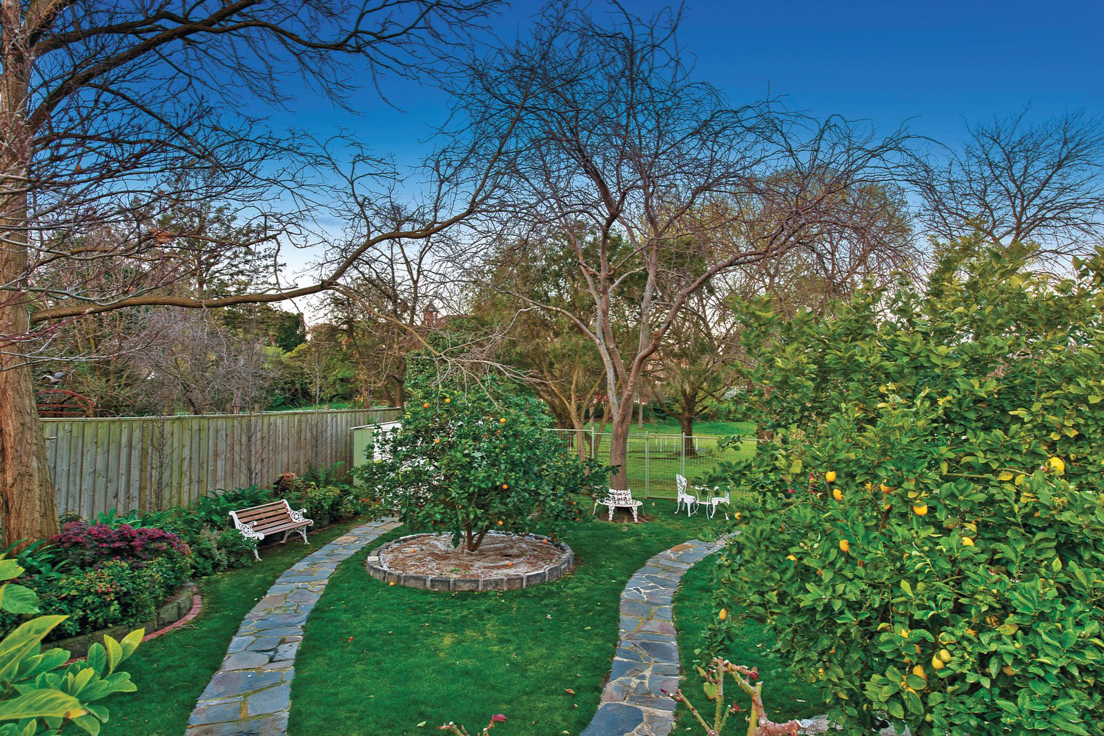 25 Lynden Street, Camberwell - Thumbnail 7