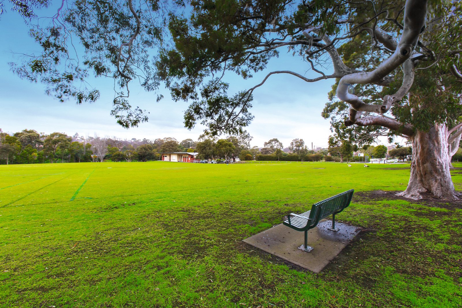 31 Orrong Crescent, Camberwell - Thumbnail 7