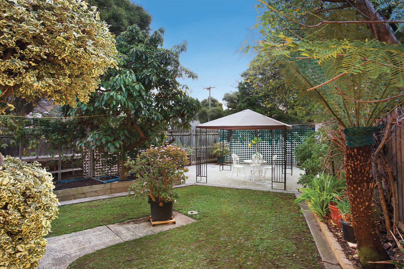 1 Taurus Street, Balwyn North - Thumbnail 6