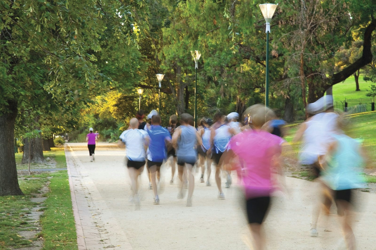 41/261 Domain Road, South Yarra, VIC