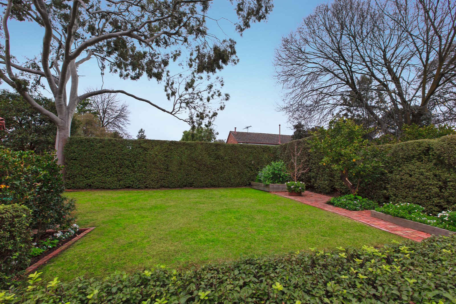 19 Grandview Avenue, Glen Iris - Thumbnail 8