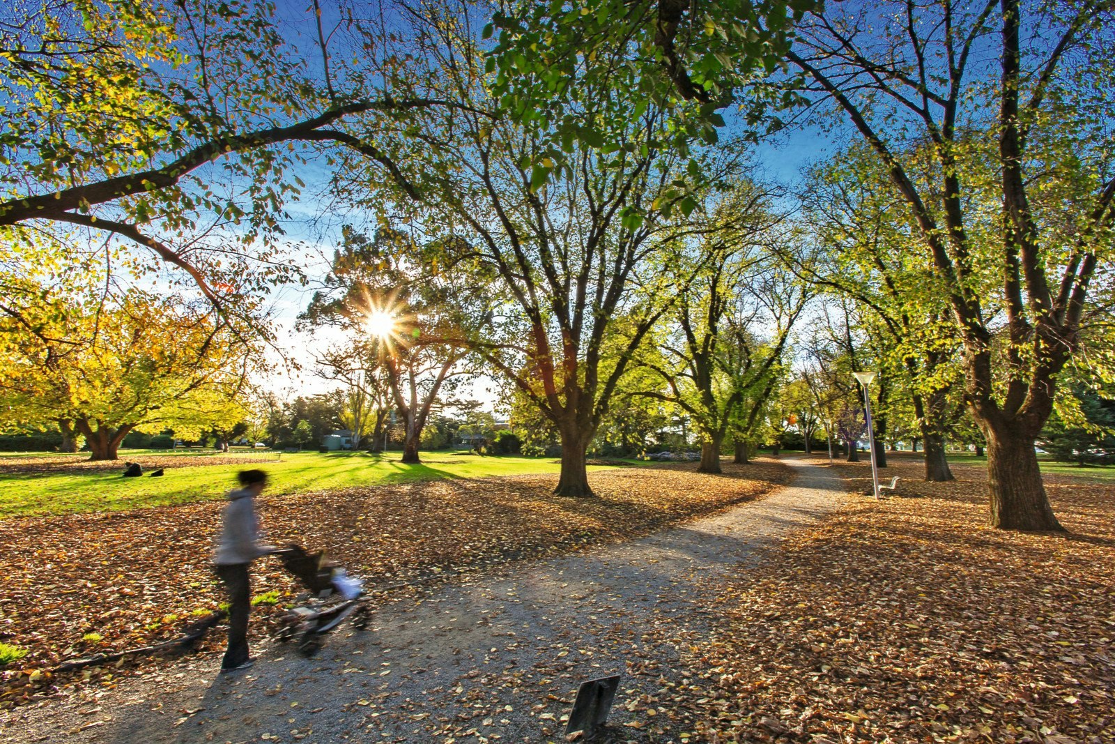 5/100 Burke Road, Malvern East, VIC