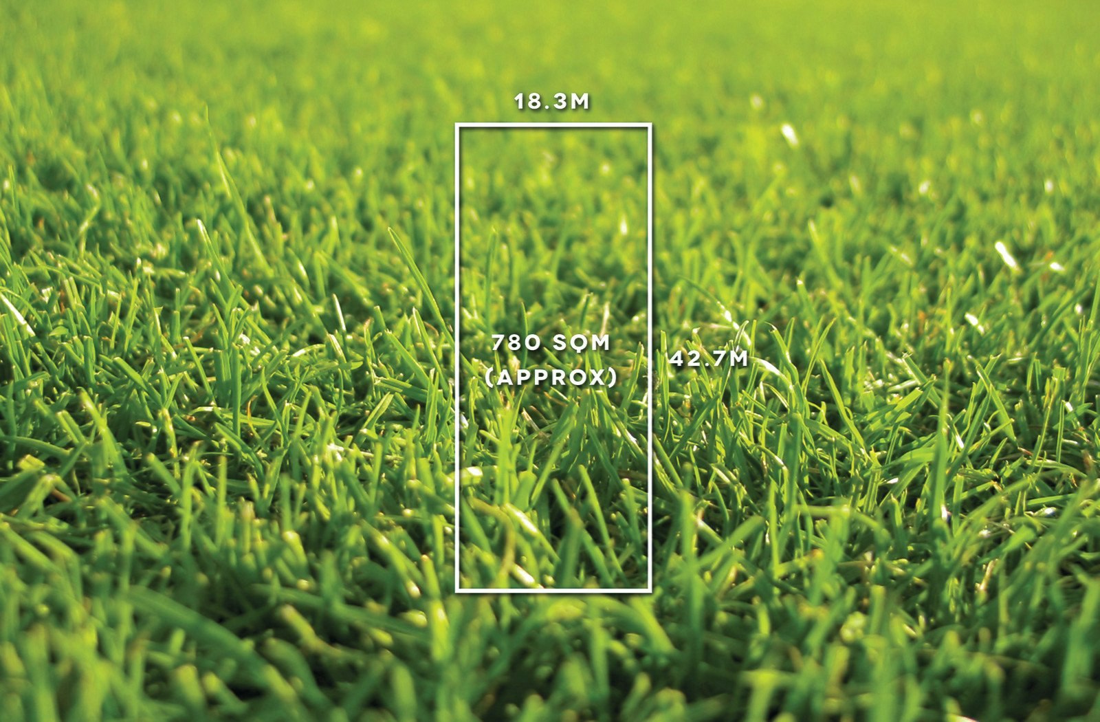 7 Neath Street, Surrey Hills, VIC