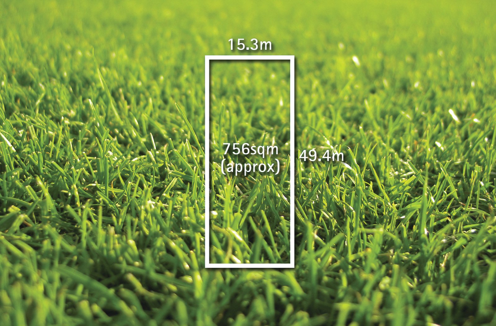 3 Roselea Street, Box Hill North - Thumbnail 2