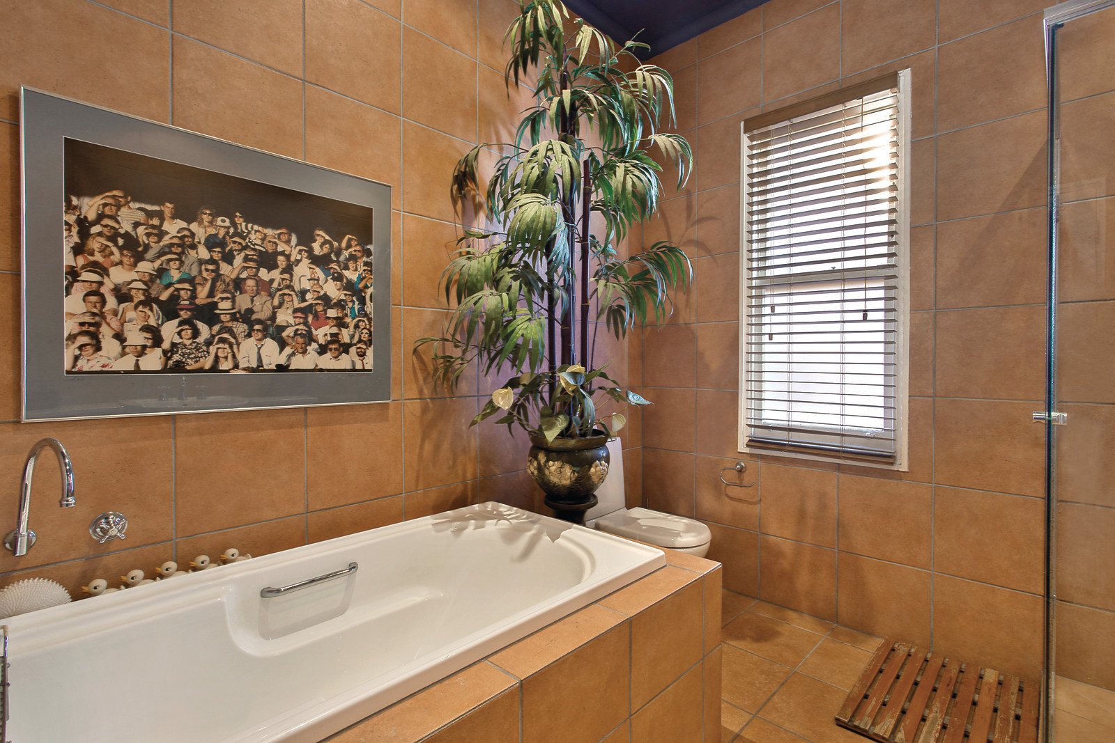 204 Williams Road, Toorak - Thumbnail 7