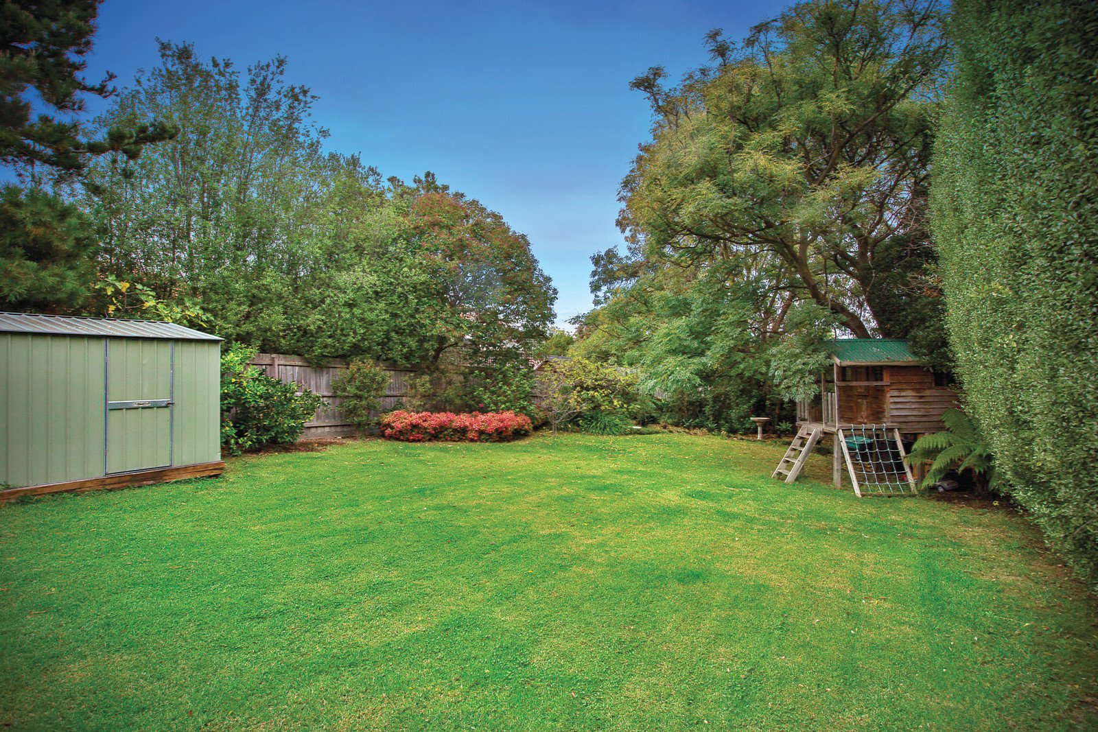 5 Mons Street, Glen Iris - Thumbnail 8