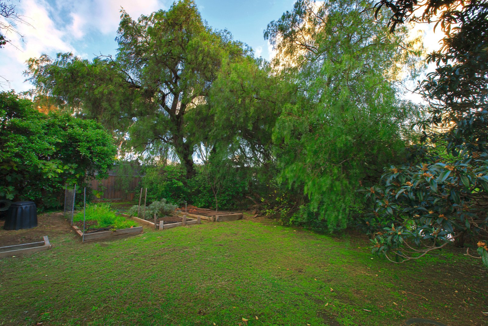 61 Morang Road, Hawthorn - Thumbnail 6