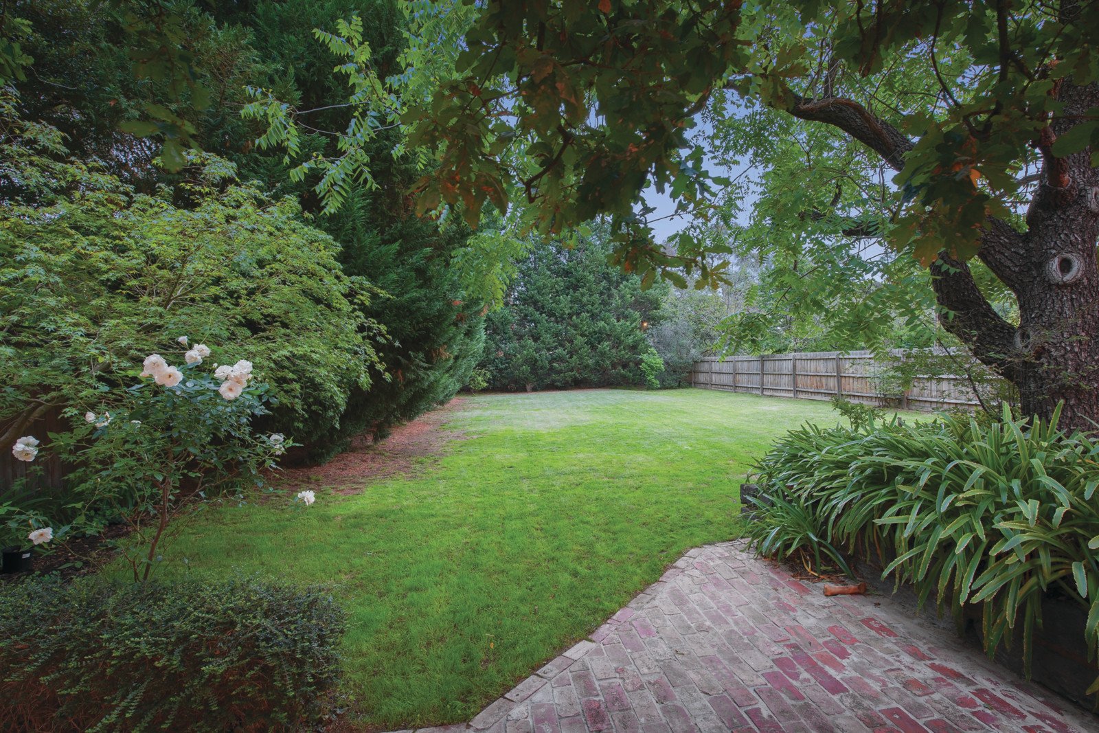 36 Zetland Road, Mont Albert - Thumbnail 4