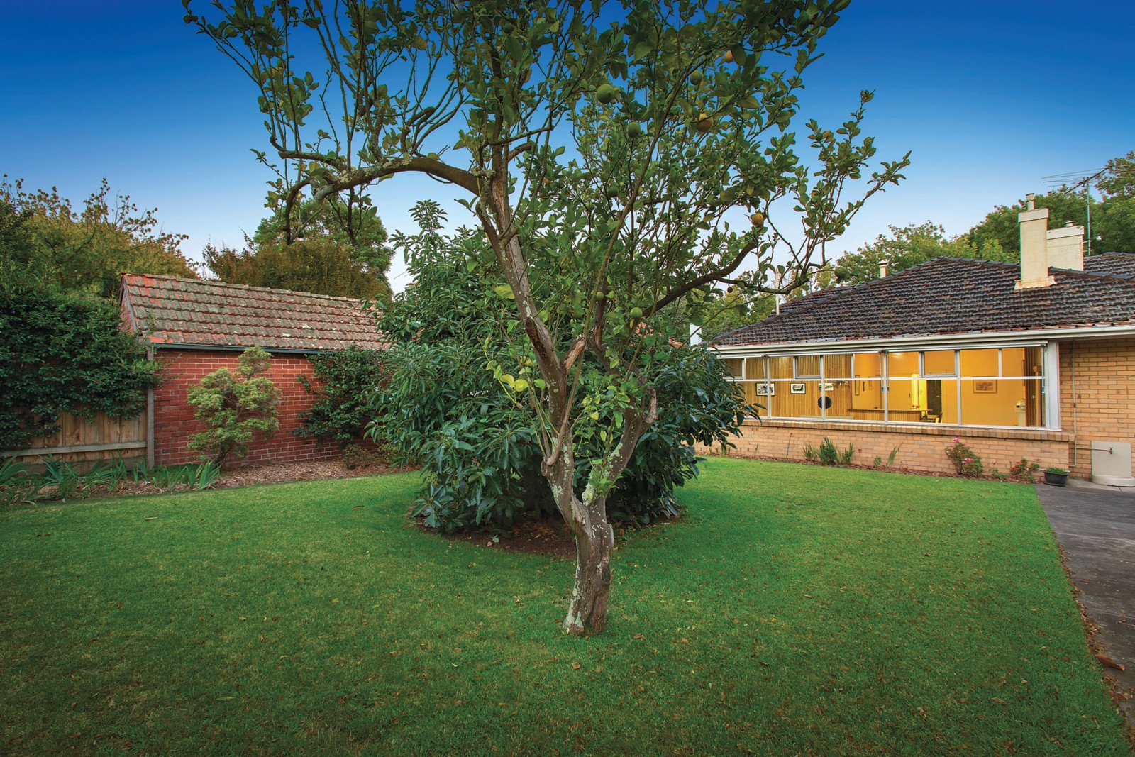 5 Coolgardie Avenue, Malvern East - Thumbnail 4