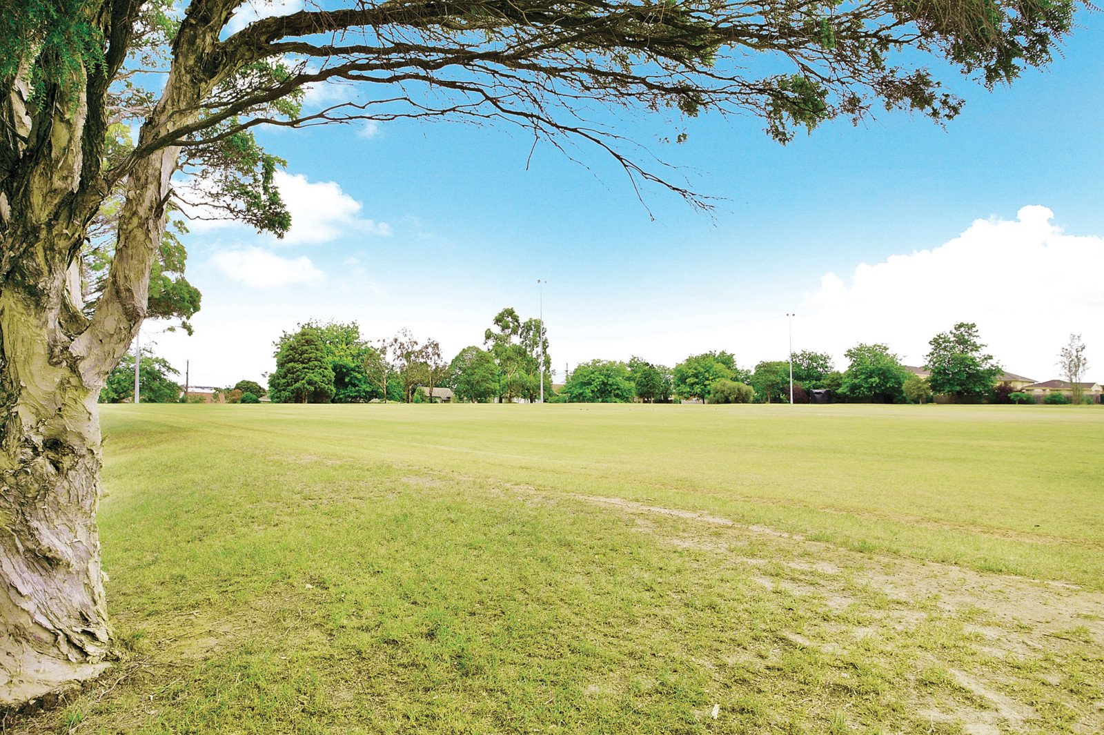 1 Glen Road, Ashburton - Thumbnail 5
