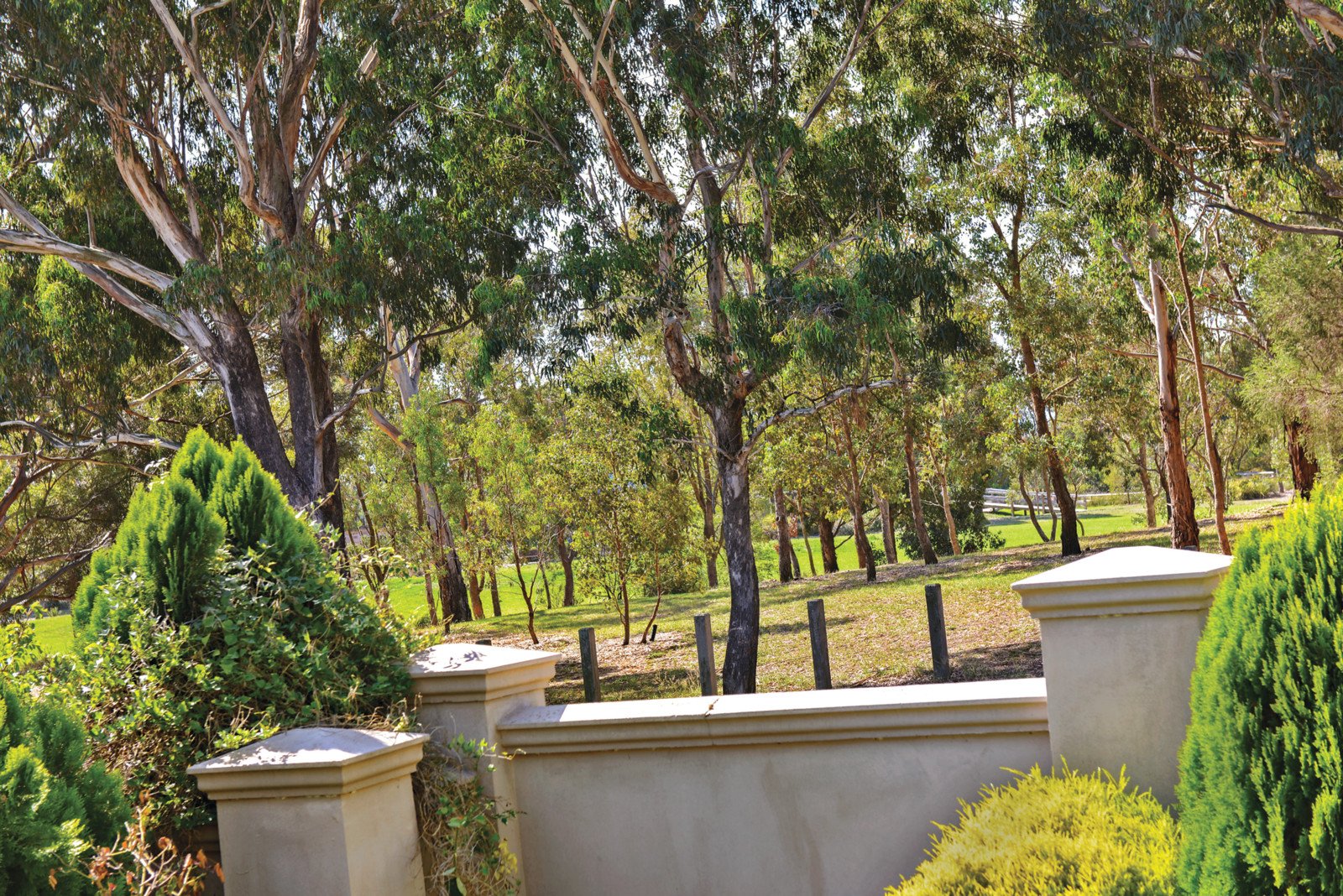 1/38 Alpha Street, Balwyn North - Thumbnail 7