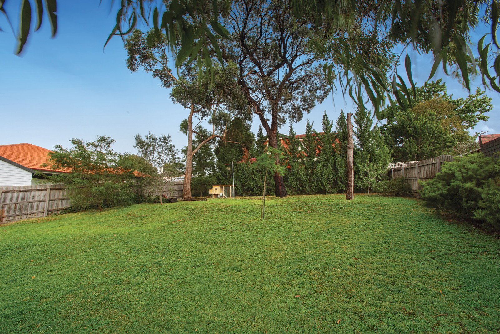 60 Broughton Road, Surrey Hills - Thumbnail 7