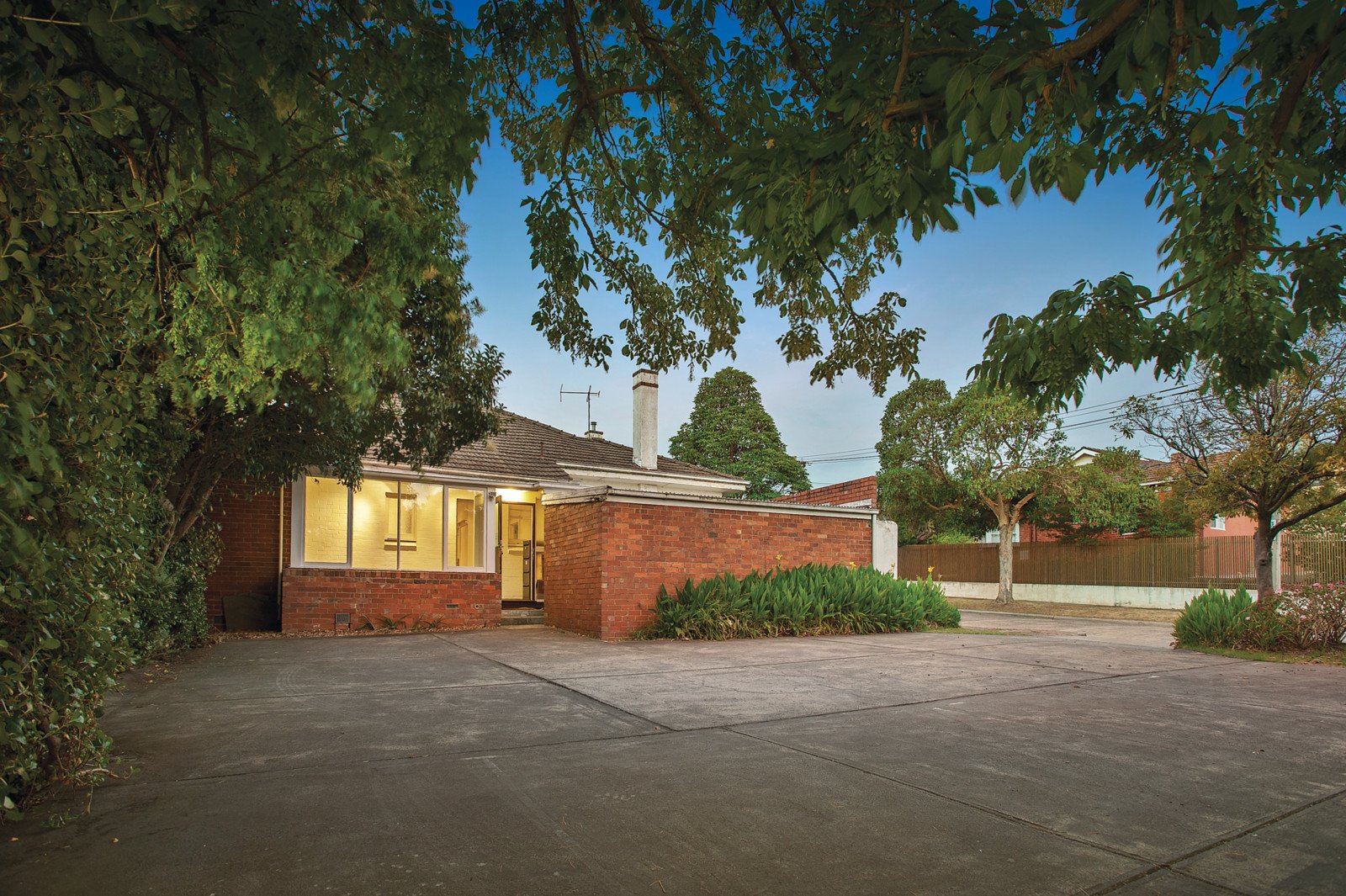 474 Whitehorse Road, Surrey Hills - Thumbnail 6