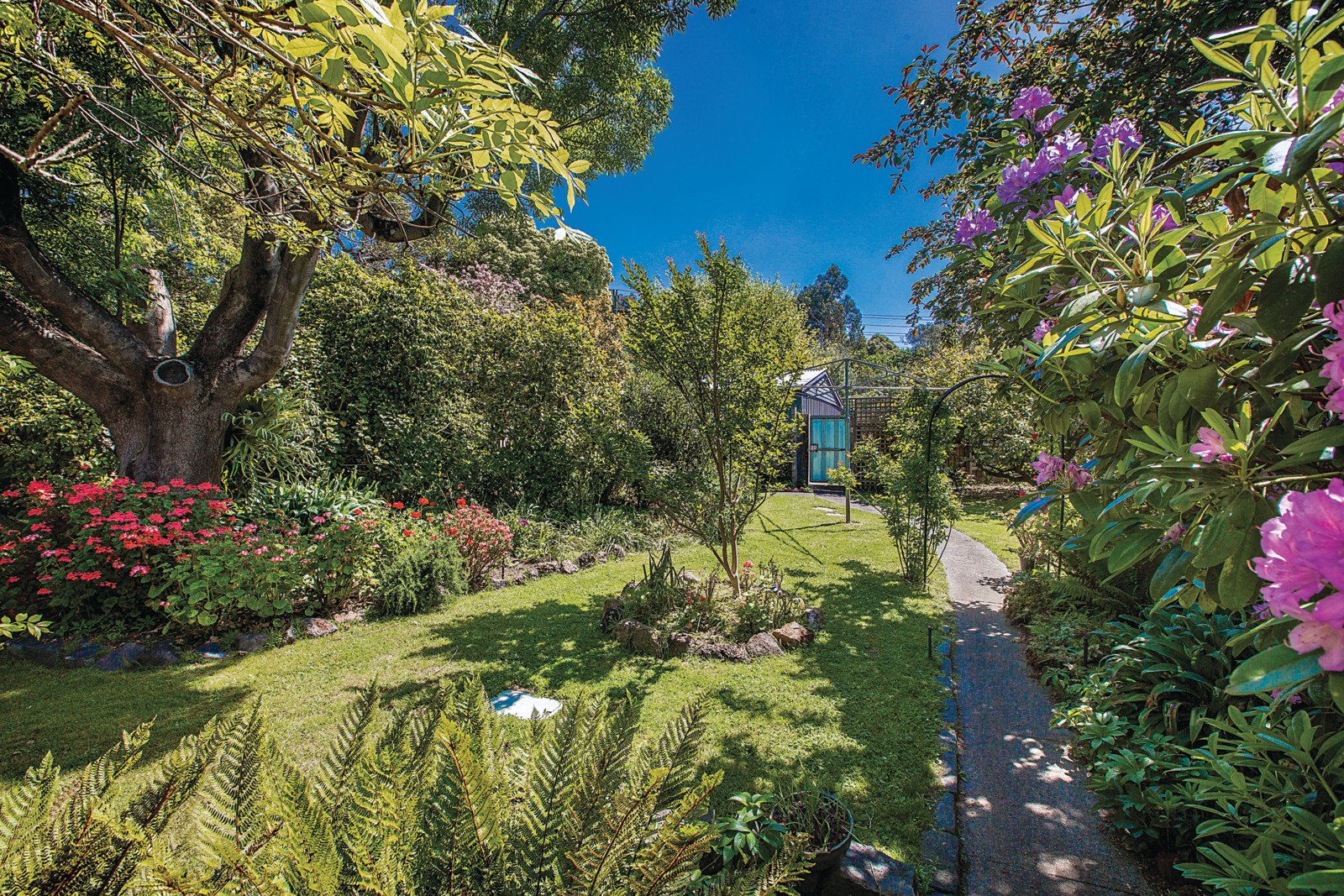 9 Creswick Street, Deepdene - Thumbnail 7