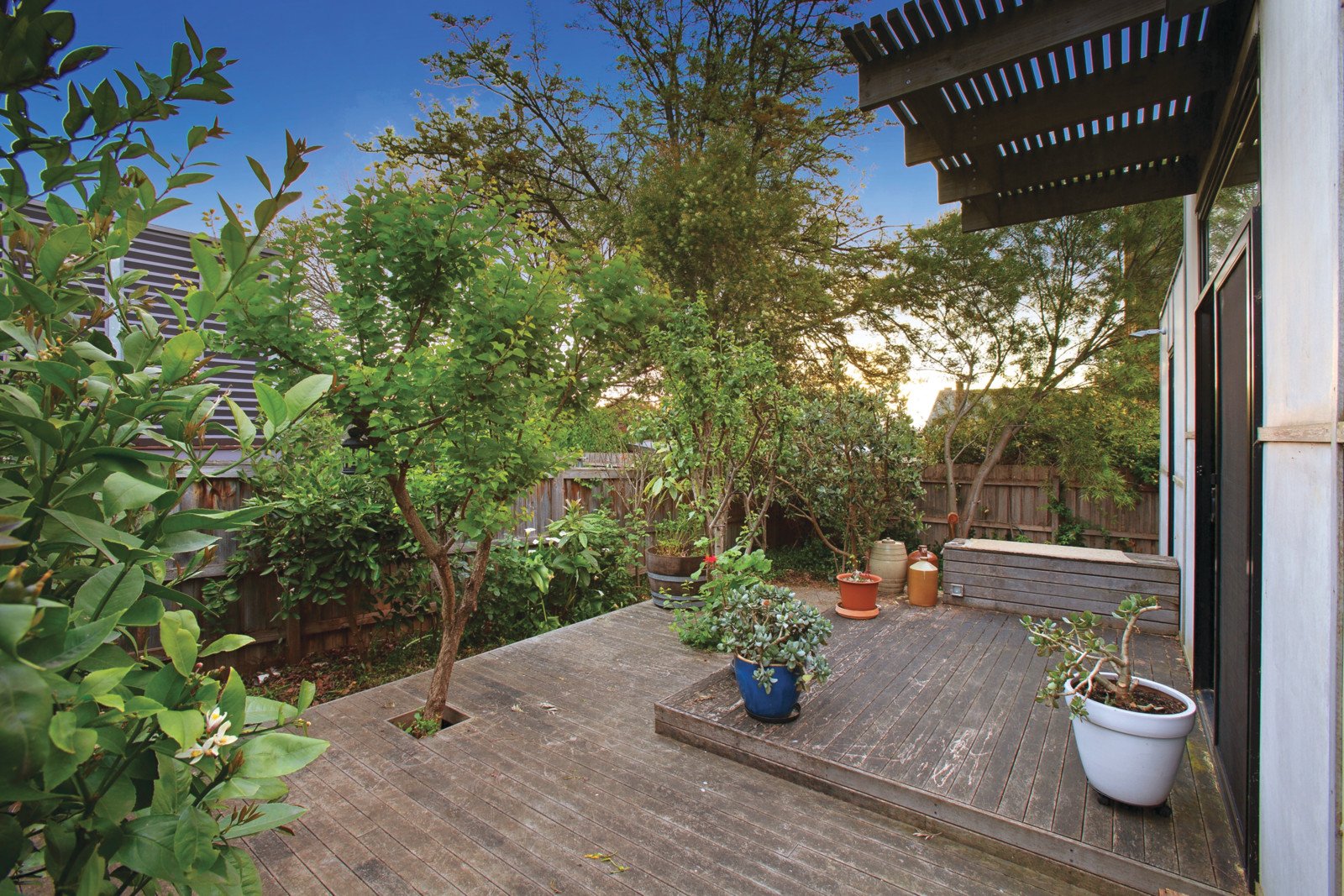 14 Calvin Street, Hawthorn - Thumbnail 6