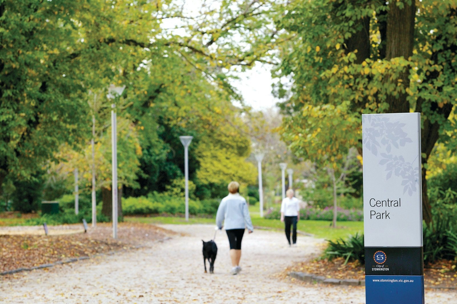 38 Manning Road, Malvern East, VIC