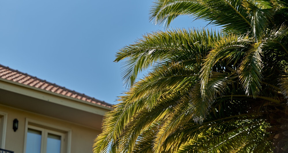 Real Estate Agents McKinnon Properties for Sale Marshall White