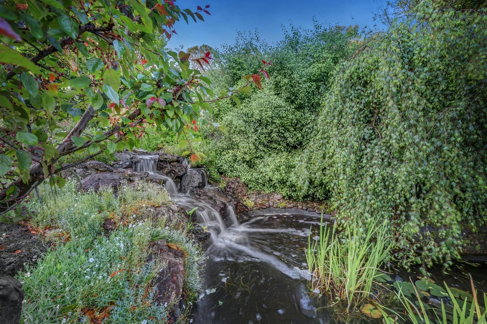 5-7 Dalry Avenue, Park Orchards, 3114