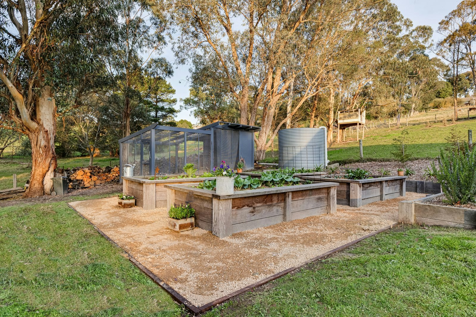 10 Montuna Grove, Guys Hill, 3807