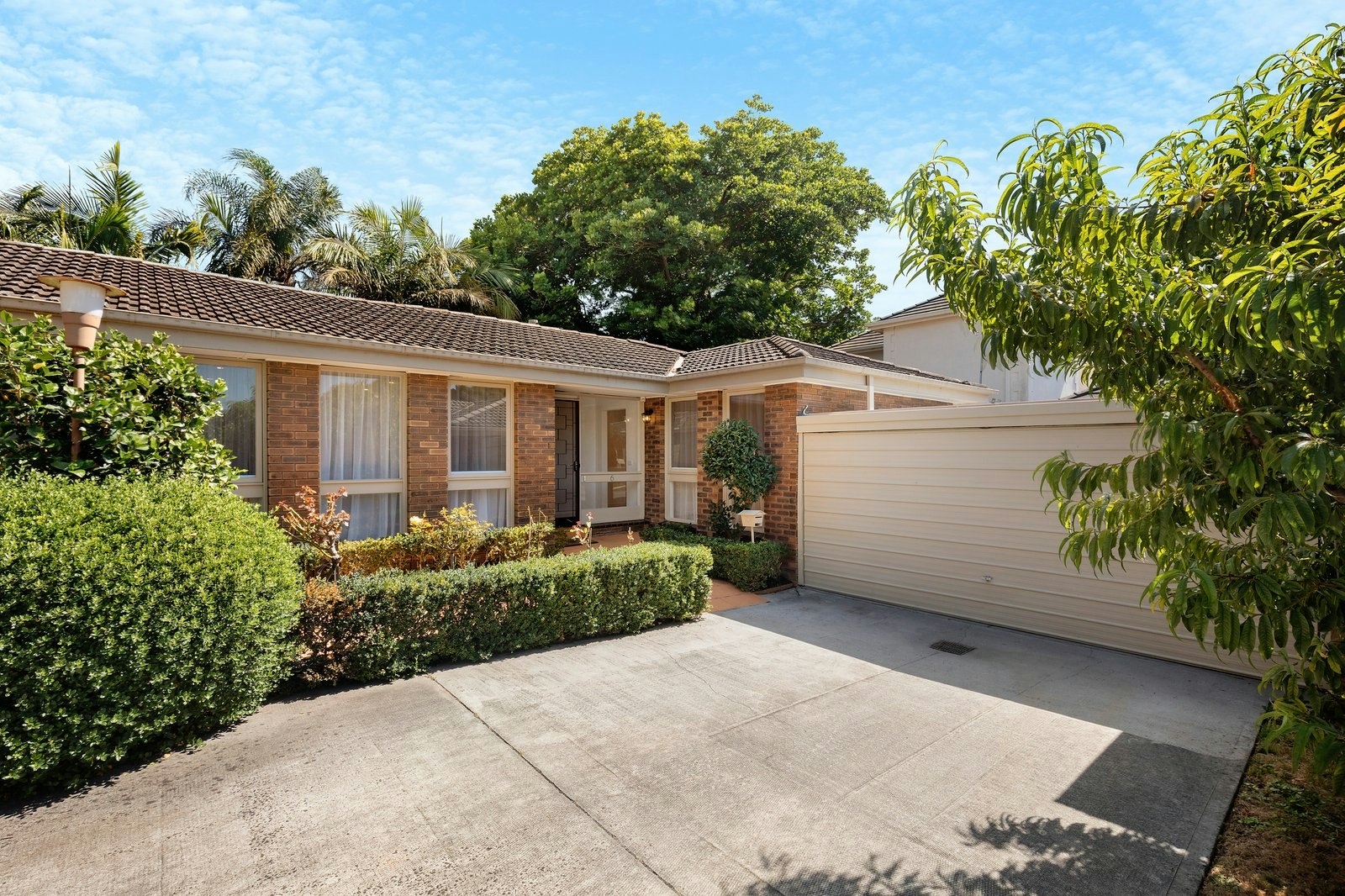 6/67 William Street, Brighton, 3186