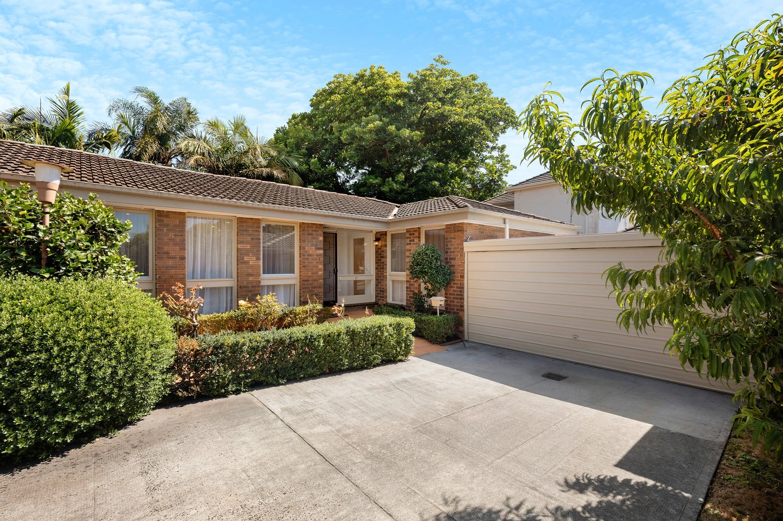 6/67 William Street, Brighton, 3186