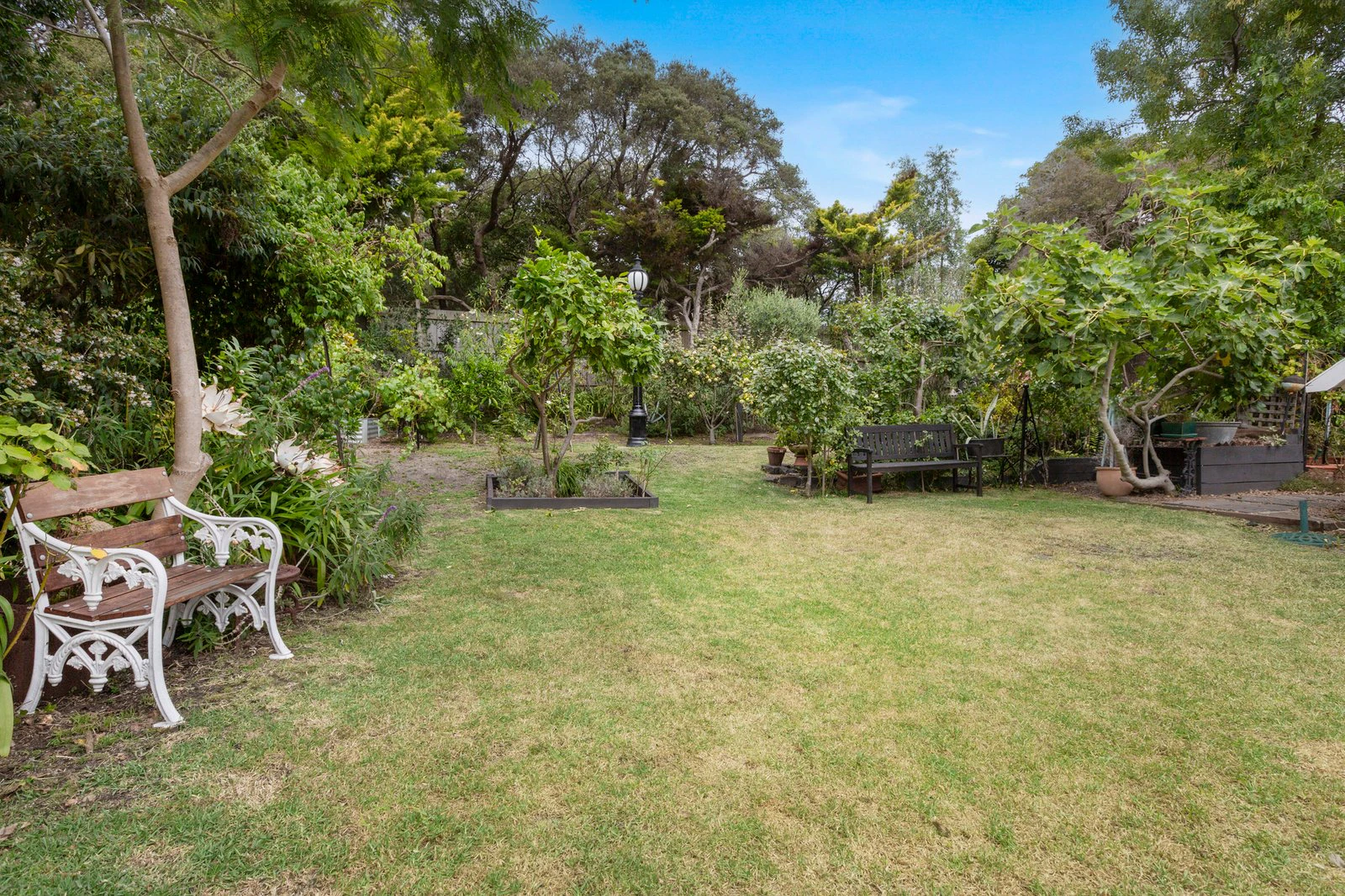 41 Westmore Avenue, Sorrento, 3943
