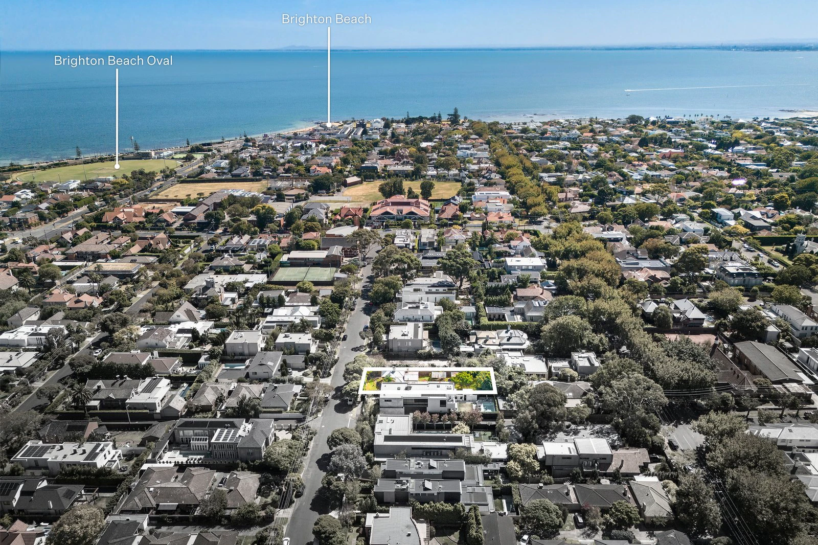 19 Wolseley Grove, Brighton, 3186