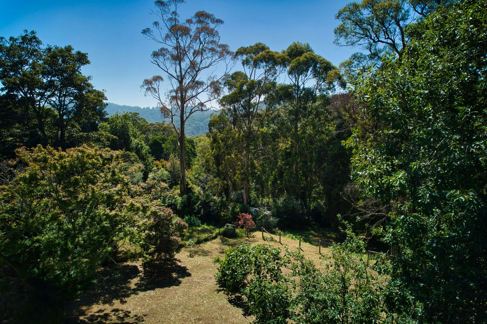 49 Hilton Road, Ferny Creek, 3786