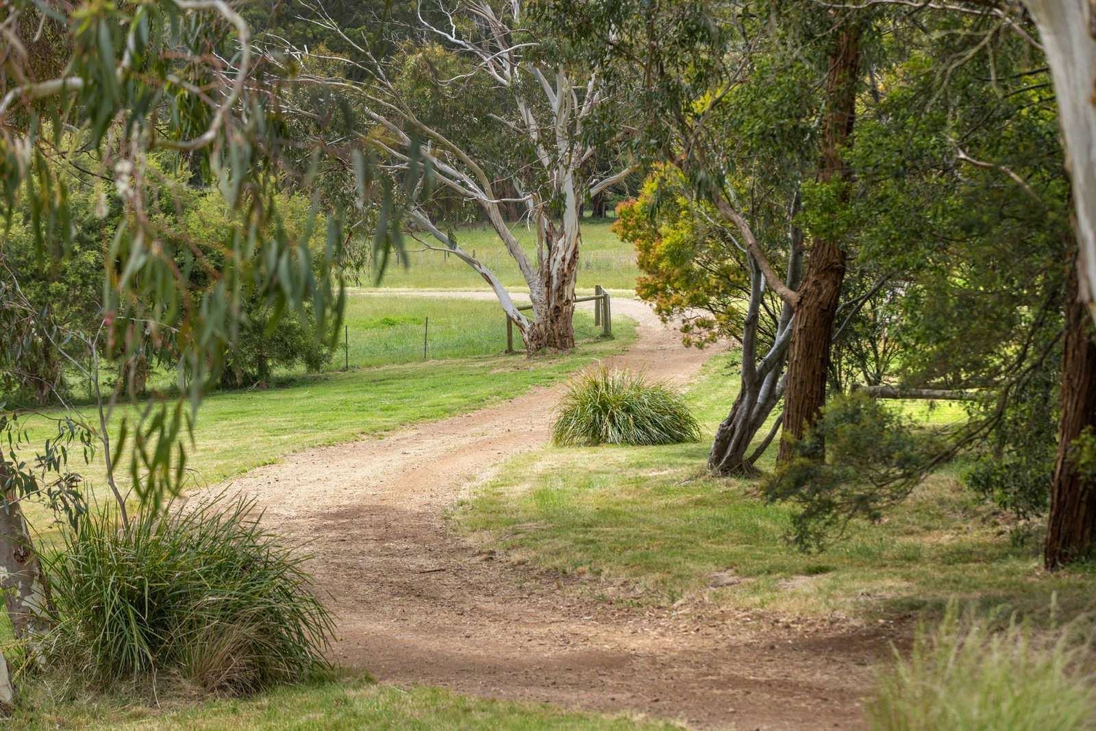 81 McIlroys Road, Red Hill, 3937
