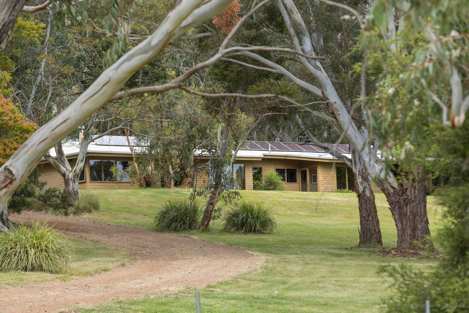 81 McIlroys Road, Red Hill, 3937