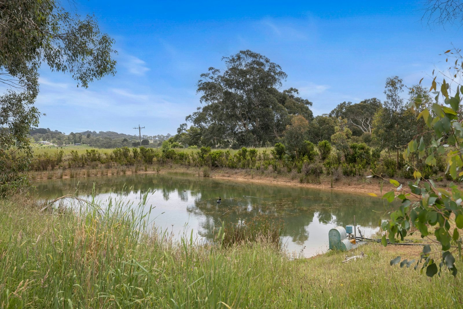 81 McIlroys Road, Red Hill, 3937