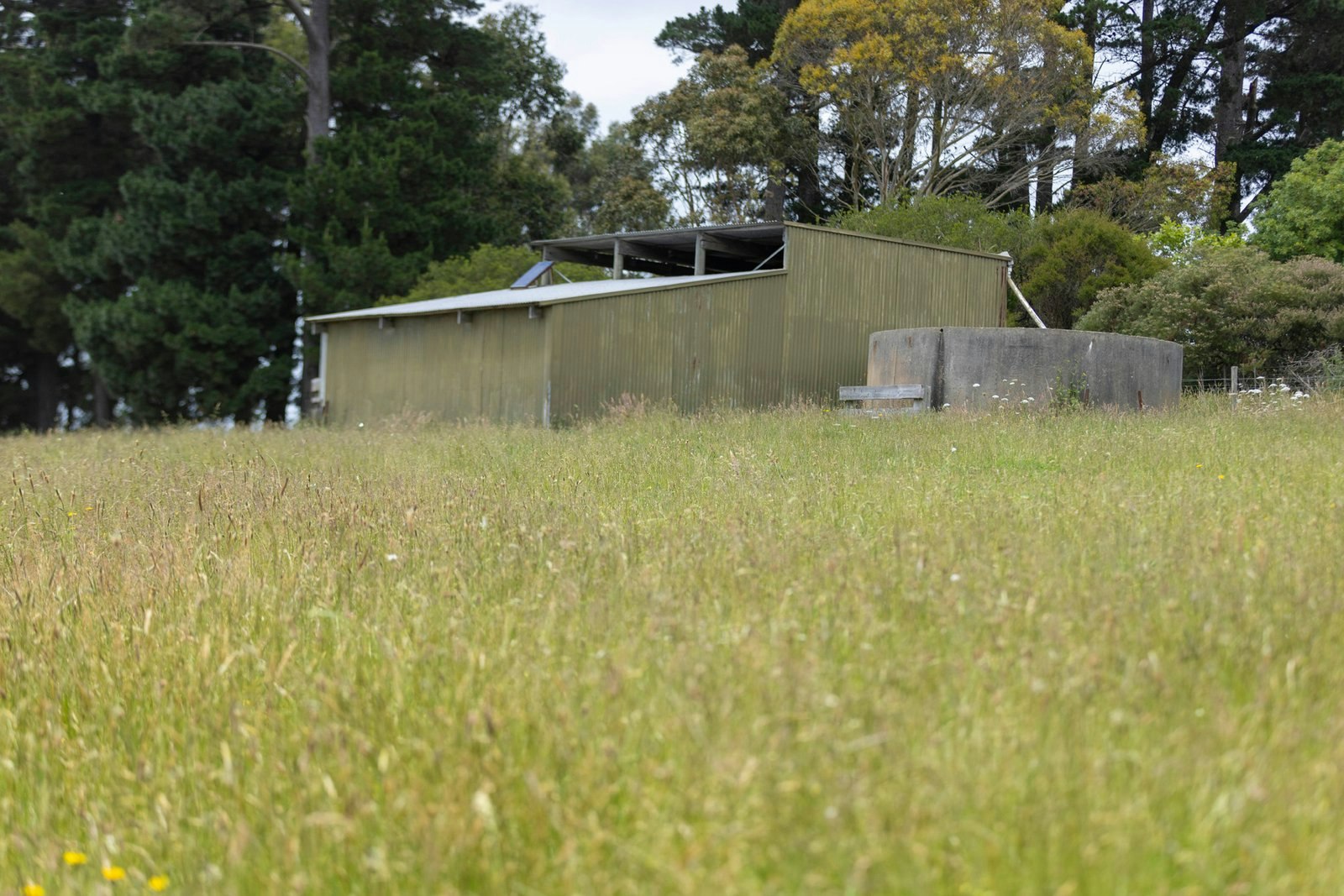 81 McIlroys Road, Red Hill, 3937