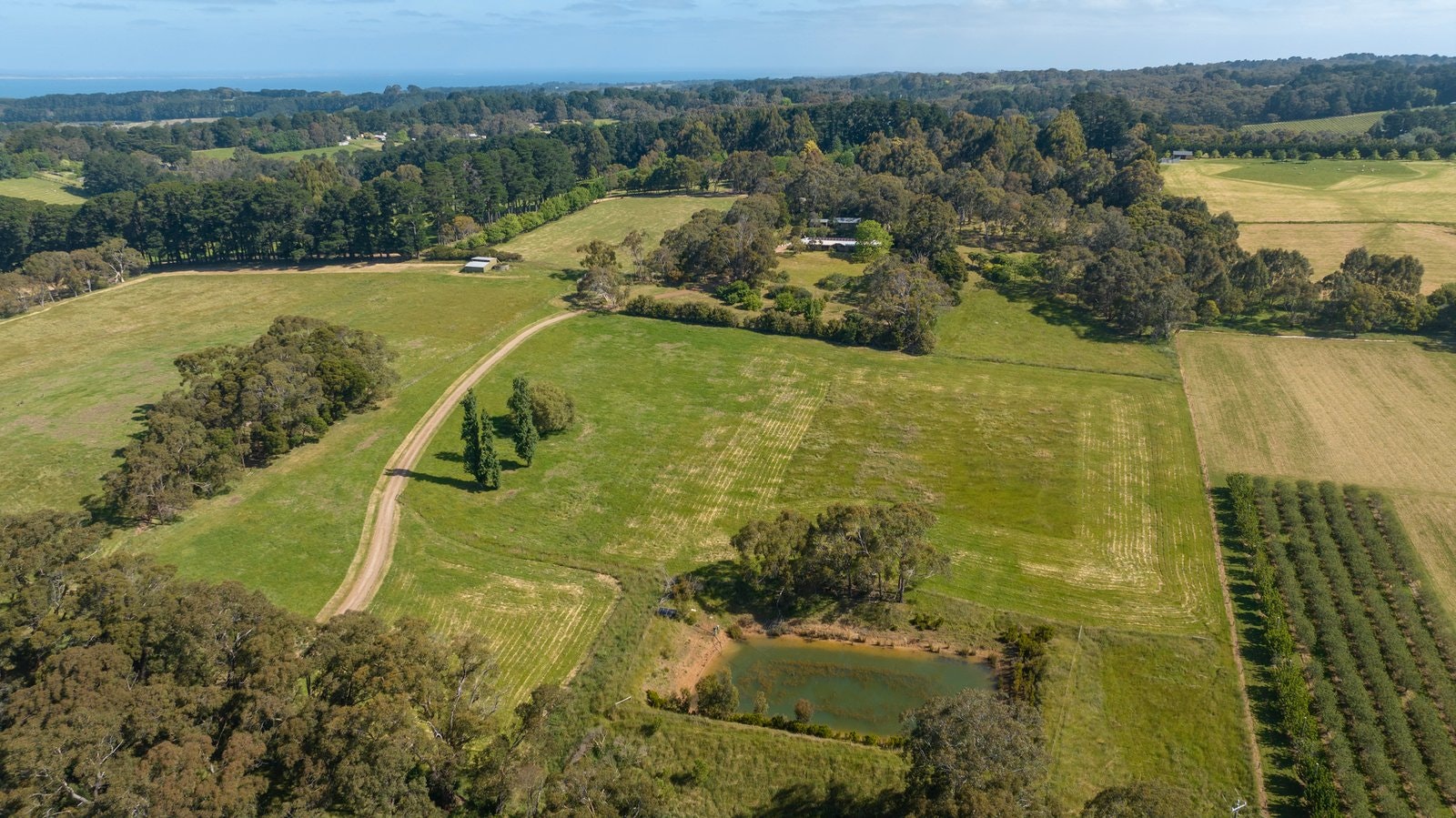 81 McIlroys Road, Red Hill, 3937