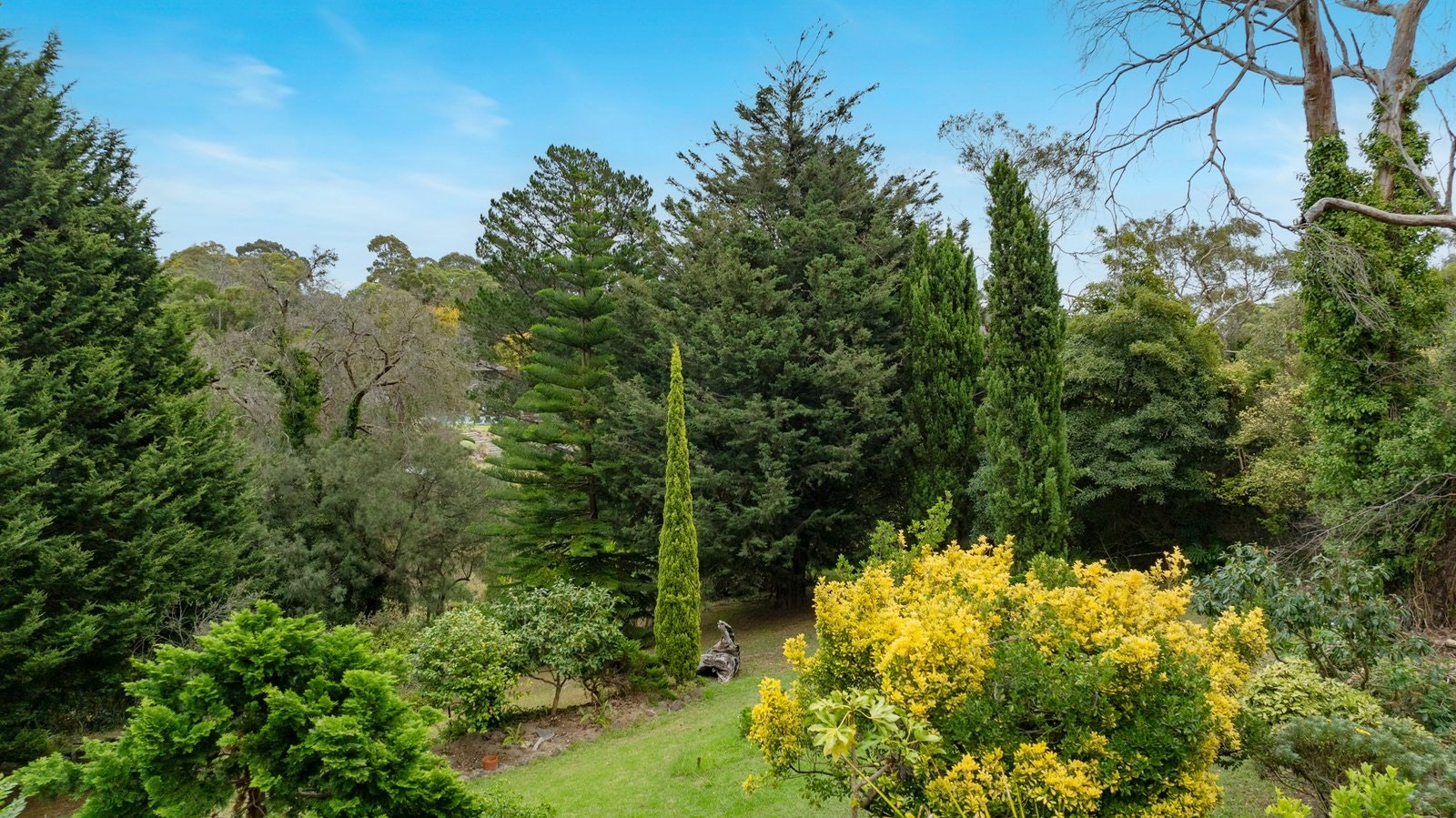 3 Nunga Court, Mount Eliza, 3930