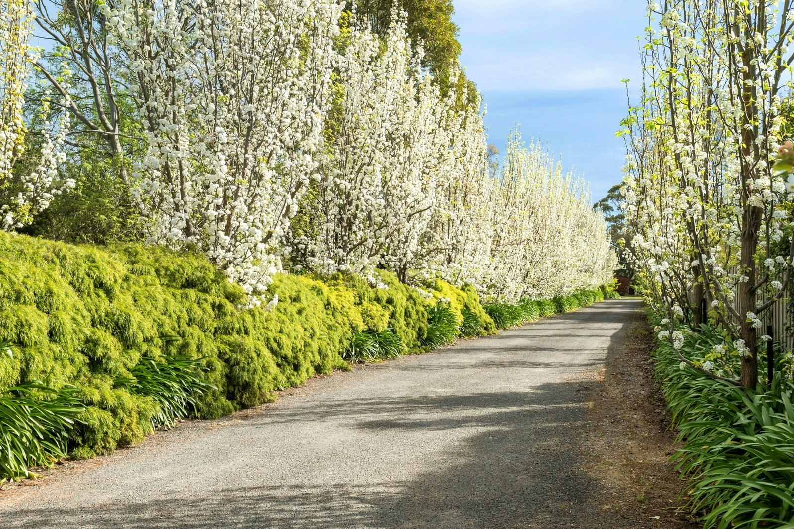 257B Humphries Road, Frankston South, 3199