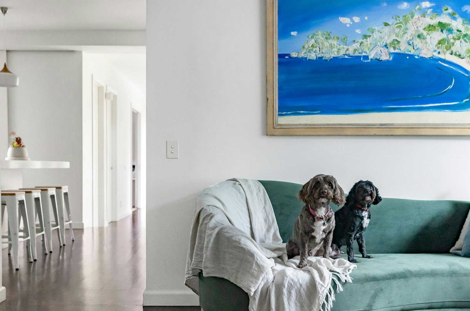 20 Olive Street, Malvern East, 3145