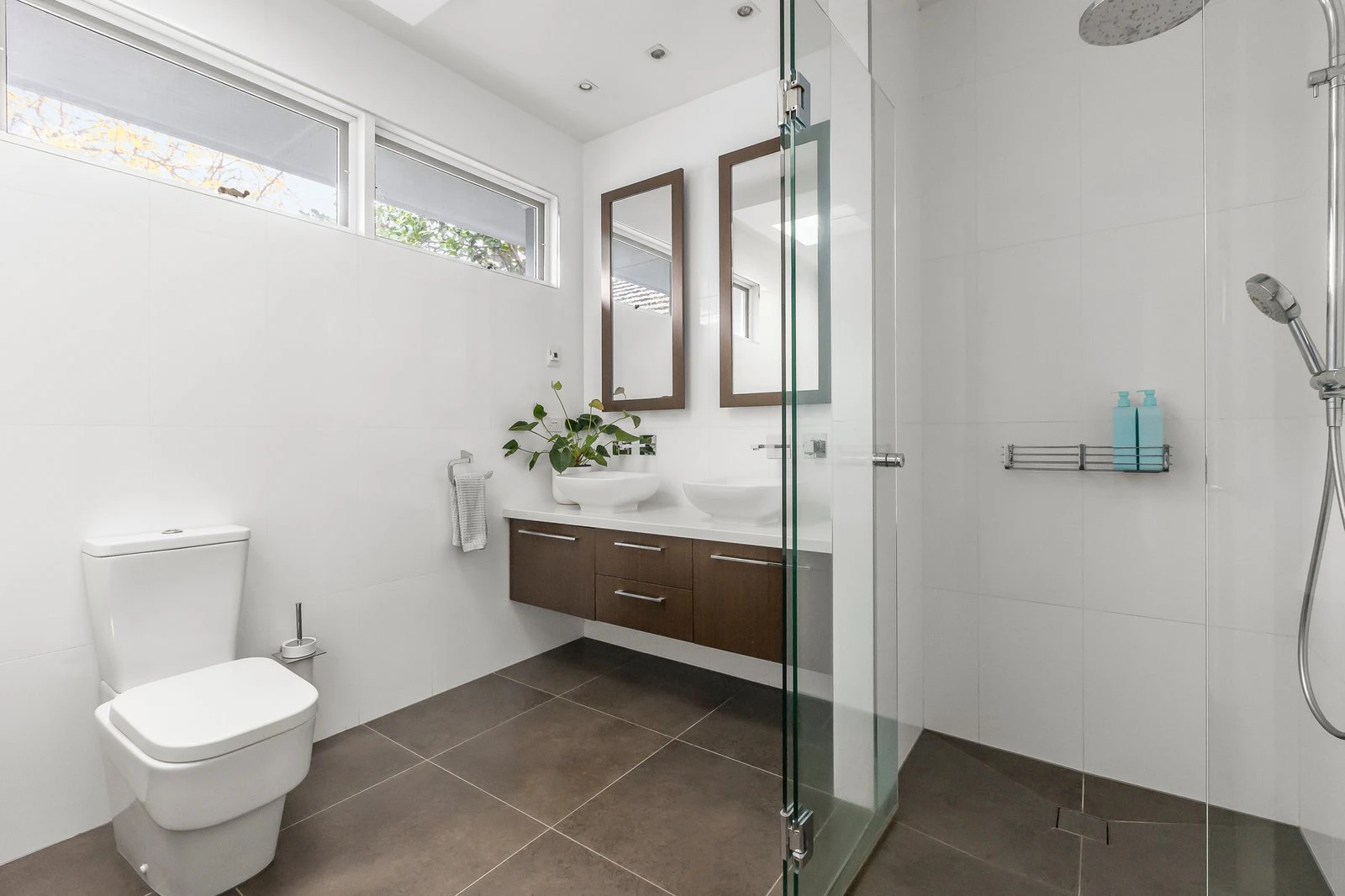 20 Olive Street, Malvern East, 3145