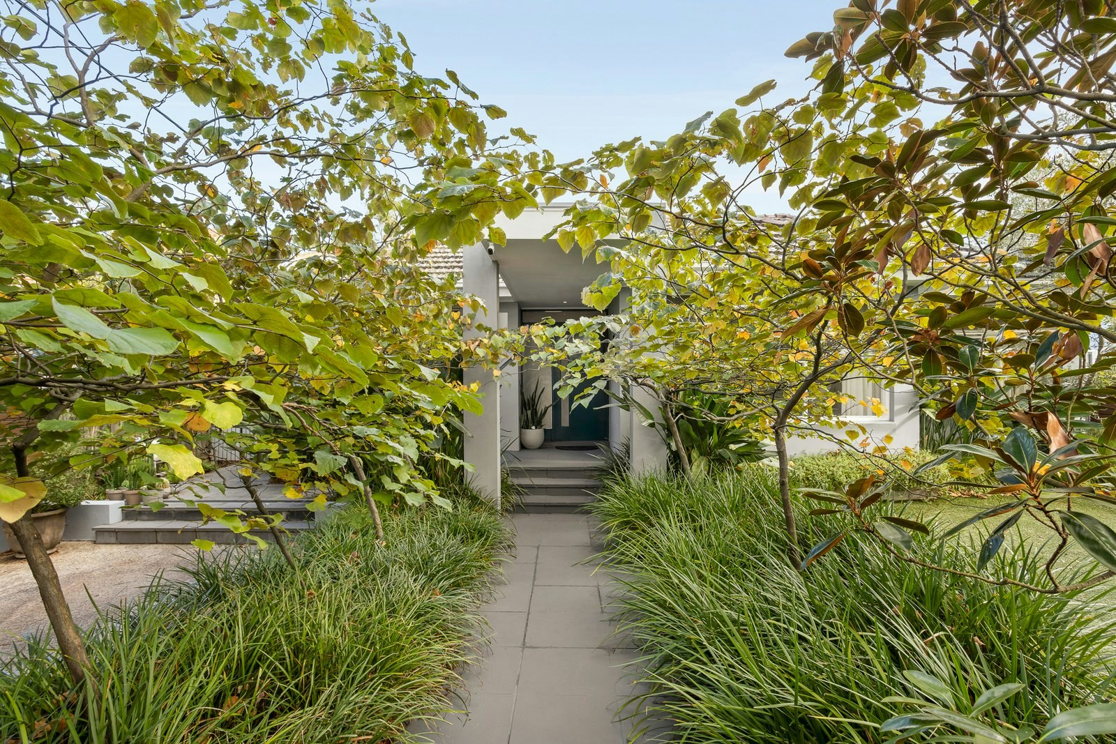 20 Olive Street, Malvern East, 3145