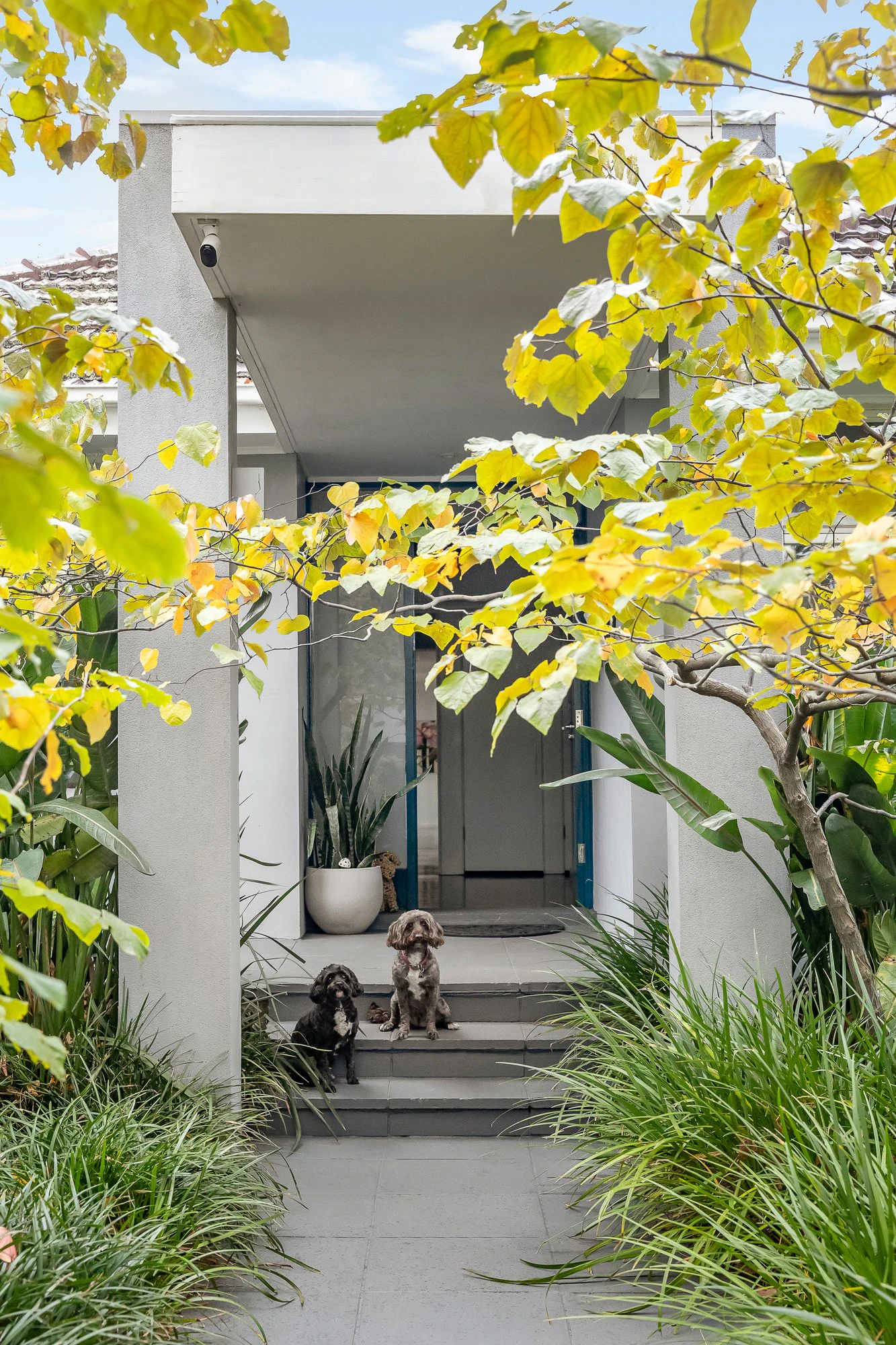 20 Olive Street, Malvern East, 3145