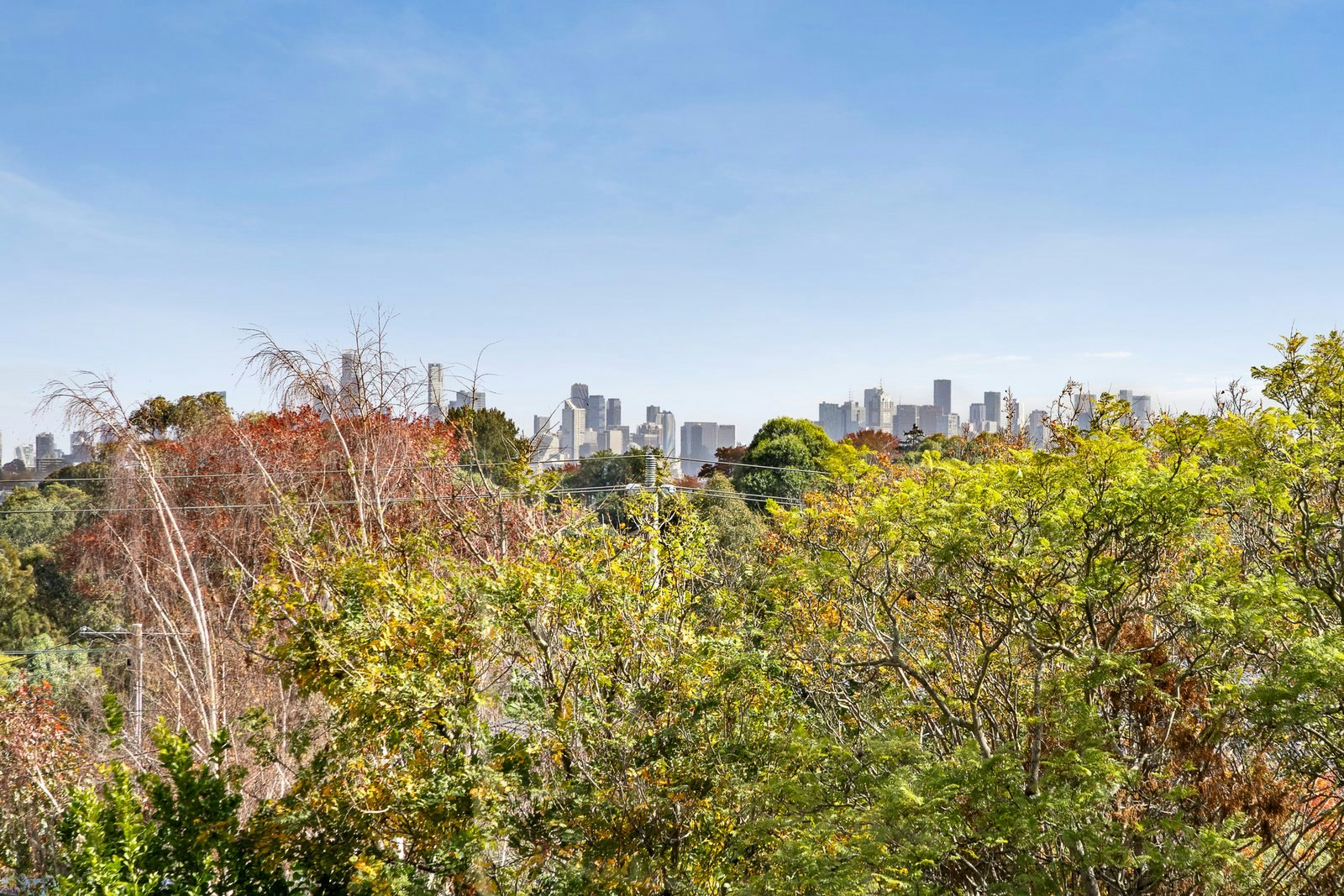 40 Liston Street, Glen Iris, 3146