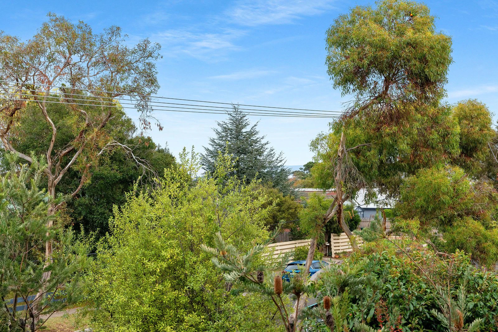 1/51 Van Ness Avenue, Mornington, 3931