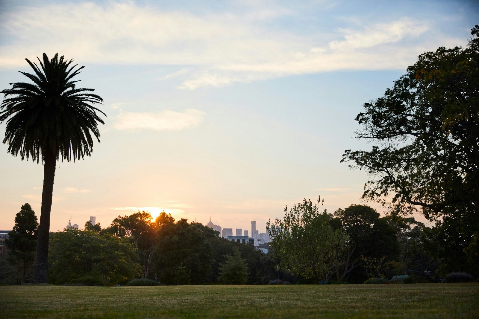 46 Roseberry Street, Hawthorn, 3122