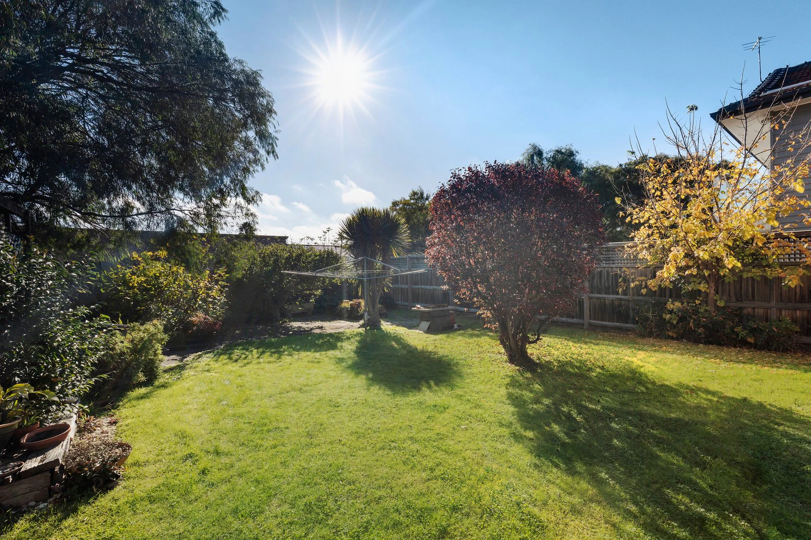 3 Cambridge Street, Brighton East, 3187